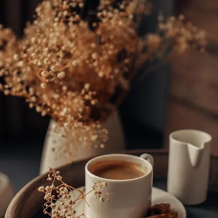 فندق Bernadet ألاتشاتي